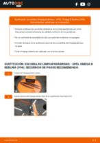 PDF manual sobre mantenimiento Omega B Berlina (V94) 2.0 DTI 16V (F69, M69, P69)