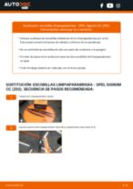 La guía profesional para realizar la sustitución de Filtro de Habitáculo en tu Opel Signum CC 3.2 V6 (F48)