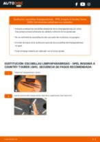 Cambio Escobillas de Limpiaparabrisas traseras y delanteras OPEL INSIGNIA A Country Tourer (G09): guía pdf