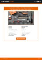 FIAT 128 Luftmassenmesser auswechseln: Tutorial pdf