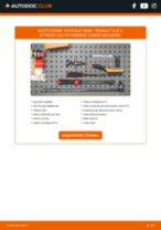 Come cambiare Kit cinghia servizi Citroen C3 Picasso - manuale online