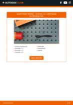 Den professionelle guide til udskiftning af Bremseklodser på din Citroen C3 1 1.6 16V HDi