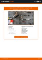 Manualul online pentru schimbarea Kit amortizoare la DACIA 1310 V (CN3) Kombi