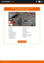 Bytte Tetningssett innsprøytningsdyse FIAT gjør-det-selv - manualer pdf på nett