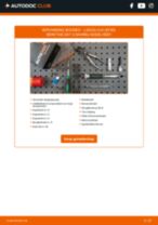 Stap-voor-stap PDF-handleidingen over het veranderen van LEXUS LS (UCF30) Bougies