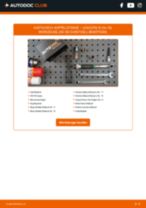 Reparatur- und Servicehandbuch für LEXUS RX III (AL10) 2011