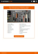 Cambio Pompa Freno NISSAN NV400: guida pdf