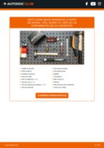 PDF manual sobre mantenimiento Zafira A (T98) 2.0 DTI 16V (F75)