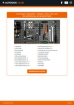VW Kennzeichenleuchte LED und Halogen wechseln - Online-Handbuch PDF