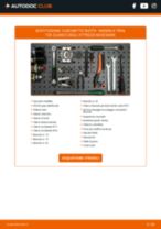 Cambio Kit Revisione Pinze Freno LEXUS RX (_L2_): guida pdf