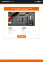Bytte Startbatteri AGM, EFB, GEL NISSAN CEDRIC: handleiding pdf