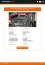 Auswechseln Xenonlicht AUDI A4: PDF kostenlos