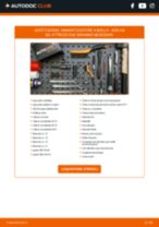 PDF manuale sulla manutenzione A4 Sedan (8K2, B8) 3.0 TDI quattro