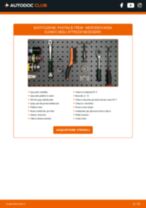 SEAT Alhambra 7M Kit Cinghie Poly-V sostituzione: tutorial PDF passo-passo