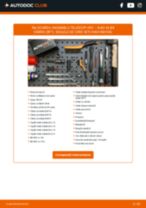 Manualul online pentru schimbarea Kit amortizoare la AUDI A5 Convertible (8F7)