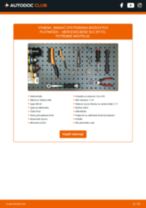 MERCEDES-BENZ SLC (R172) 2020 príručka údržba a opravy