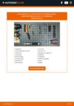 Handleiding PDF over onderhoud van SLK (R171) 200 Kompressor (171.445)