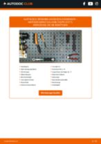 Reparatur- und Servicehandbuch für MERCEDES-BENZ S-Klasse Coupe (C217) 2020
