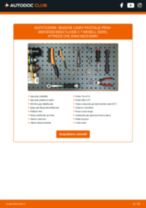 Manuale officina Classe C T-modell (S205) C 250 (205.245) PDF online