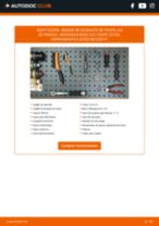 PDF manual sobre mantenimiento CLS (C219) CLS 500 (219.372)