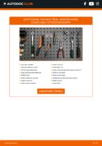 Cambio Batteria avviamento AGM, EFB, GEL, 12V VOLVO da soli - manuale online pdf