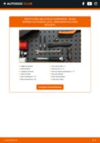 Manual de taller para SUPERB (3T4) 2.0 TDI 16V 4x4 en línea