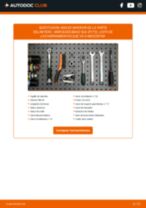 PDF manual sobre mantenimiento SLK (R172) 300 (172.438)