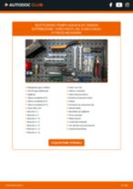 FORD FIESTA VI Pompa Acqua + Kit Cinghia Distribuzione sostituzione: tutorial PDF passo-passo