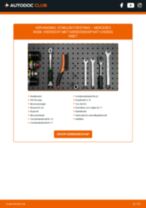 Stap-voor-stap PDF-handleidingen over het veranderen van DACIA 1304 Pickup Bougiekabel