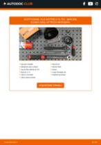 Citroen Saxo S1 Kit Cinghie Poly-V sostituzione: tutorial PDF passo-passo