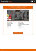 Cambio Kit distribuzione con pompa acqua SUBARU da soli - manuale online pdf