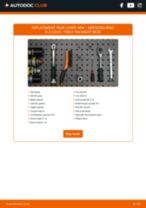 CLS (C257) AMG CLS 53 EQ Boost 4-Matic+ (257.361) workshop manual online