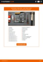 SEAT IBIZA II (6K1) Domlager: Schrittweises Handbuch im PDF-Format zum Wechsel