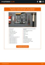 PDF manual pentru întreținere CORDOBA