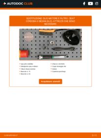 Sostituzione di Filtro Olio Seat Cordoba 6L2 1.9 TDI