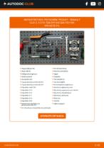 Online εγχειρίδιο για να αλλάξετε Ρουλεμάν μουαγιέ σε RENAULT CLIO III (BR0/1, CR0/1)