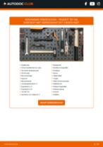 Bekijk onze informatieve PDF-tutorials over PEUGEOT 307 SW (3H)-onderhoud en reparatie
