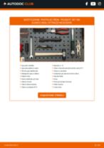 RIDEX 402B0383 per 307 SW (3H) | PDF istruzioni di sostituzione