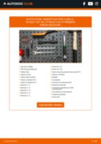 RIDEX 854S0317 per 307 SW (3H) | PDF istruzioni di sostituzione