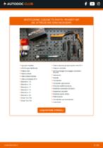 Cambio Candelette diesel SMART da soli - manuale online pdf
