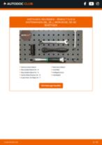 RENAULT CLIO III Box (SB_, SR_) Rillenriemen austauschen: Online-Handbuch zum Selbstwechsel