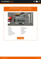Den professionelle guide til udskiftning af Hjulleje på din RENAULT Twingo II Kasten / Schrägheck (CNO_) 1.2 (CN01, CN06)