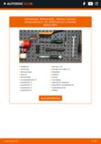 Reparatiehandboeken voor de RENAULT MODUS / GRAND MODUS voor professionele mecaniciens of doe-het-zelvers