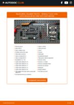 Înlocuire Rulment roata spate și față RENAULT CLIO I Box (S57_): ghid pdf
