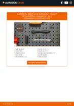 Manual online sobre el cambio de Rotula de barra estabilizadora por su cuenta en PEUGEOT 307 SW Kasten/Kombi (3E_, 3H_)