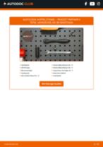 Werkstatthandbuch für PARTNER Tepee 1.6 HDi 16V online