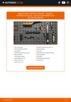 Manual de solução de problemas do Partner k9 1.2 PureTech 110