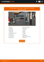 307 CC (3B) 2.0 16V workshop manual online