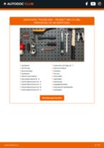 Reparatur- und Servicehandbuch für PEUGEOT 308 I CC (4B) 2011