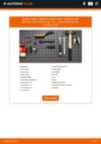 Online manual til udskiftning på egen hånd af Bærearm på PEUGEOT 307 SW Kasten/Kombi (3E_, 3H_)